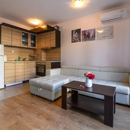 Apollon * نيسيبار